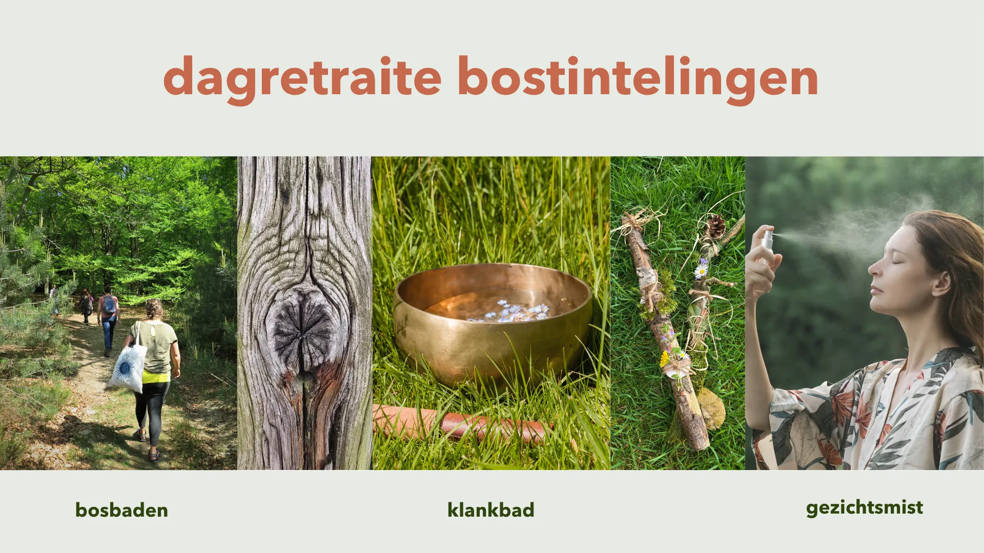 Dagretraite Bostintelingen